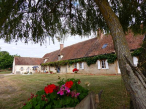 Ferme restaurée 19ème siècle, gîte indépendant avec étang, proche du circuit de Lurcy-Lévis - FR-1-489-392